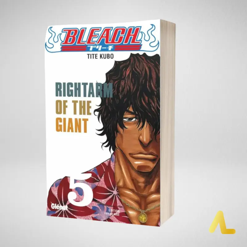 BLEACH TOME 5