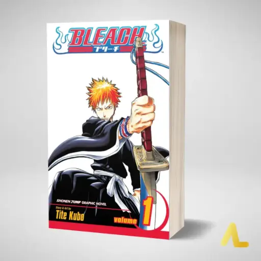 BLEACH TOME 1